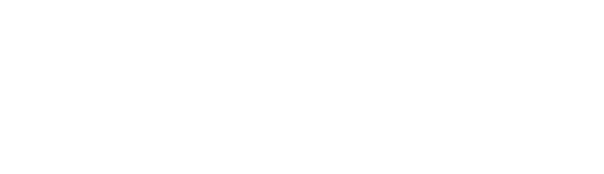 RevenueLink